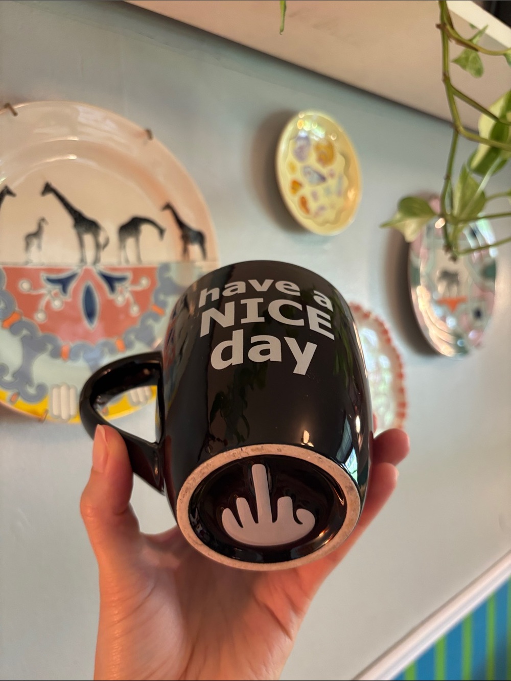 Have a Nice Day Middle Finger Black Ceramic Coffee Mug Home Dining Vintage Humor